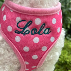 Pink Personalized Dog Harness and Leash Set Girl, Custom Harness with Name, Cute Dog Harness Girl, Personalized Pet Gift, New Puppy Harness