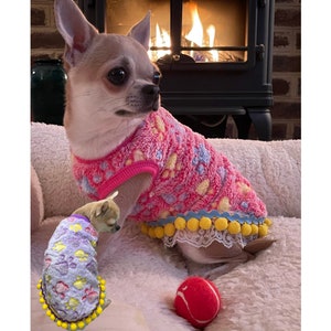 Dog Sweater for Girl, Chihuahua Sweater, Winter Dog Sweater, Custom Dog Sweater, Warm Fleece Dog Sweater, XS Dog Sweater, Winter Dog Clothes