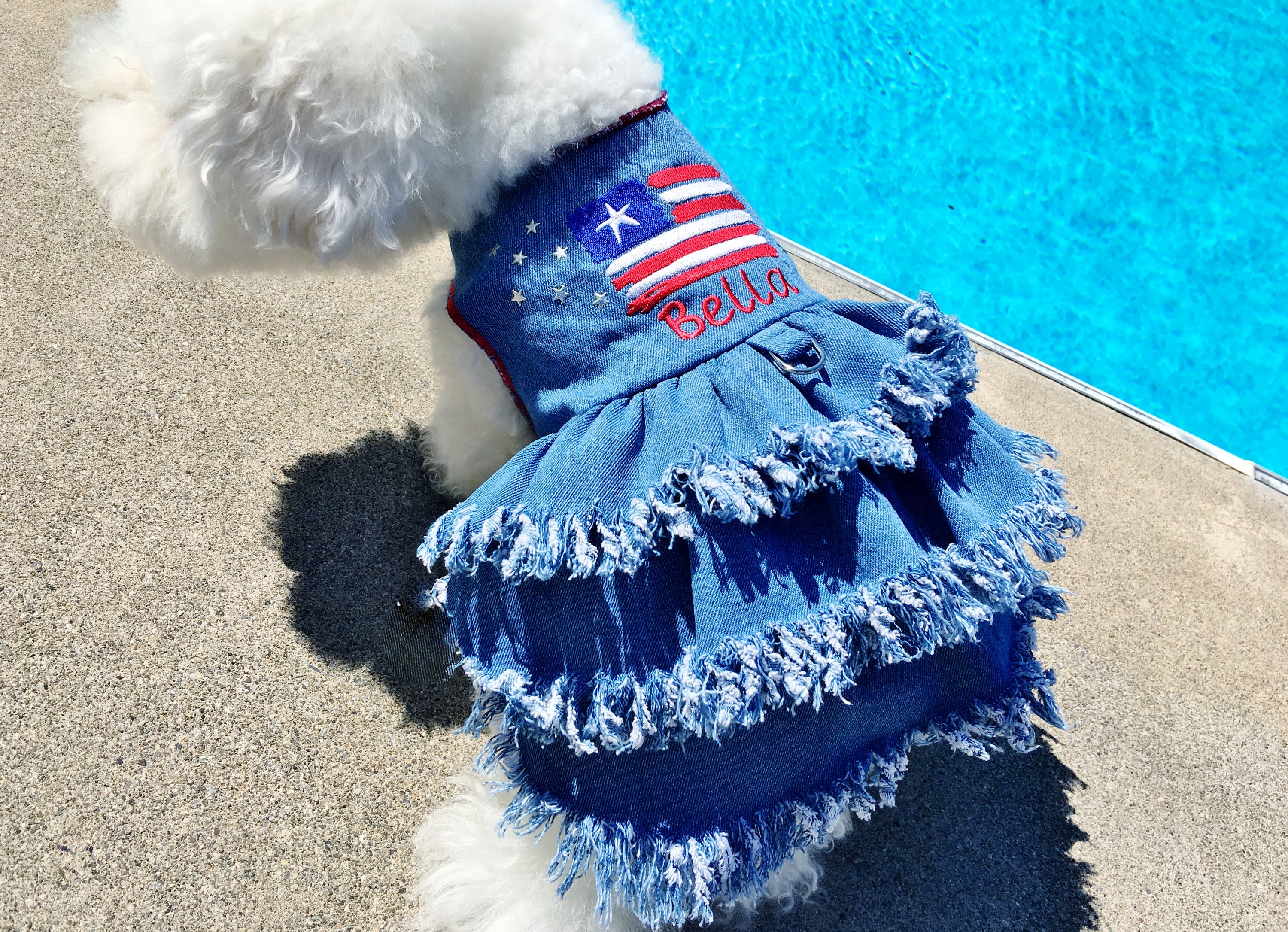 Denim Blue Pet Dog Dress - Personalized Holiday Dog Dress - Patriotic Dog  Dress With Flag and Fringes - Female Dog Clothes for Small Dogs - Etsy