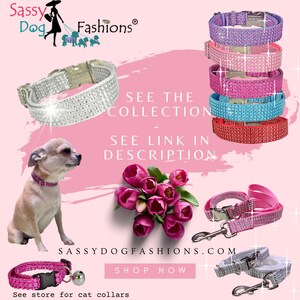 1.5" Large Dog Collars, XXS - XXL Giant Dog Collar Girl, Pink Dog