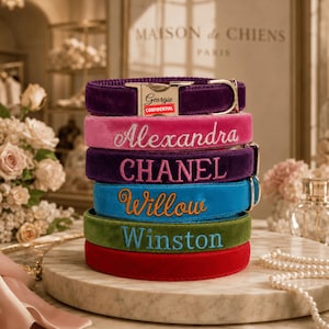 Gepersonaliseerde luxe fluwelen hondenhalsband - aangepaste gegraveerde ID-naam-telefoonnummer of geborduurde naam, zachte comfortabele hondenhalsband-leiband voor meisje