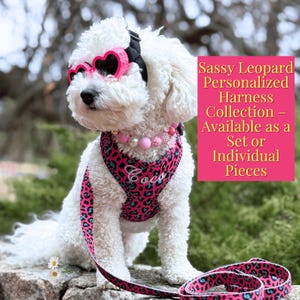 Könnte beinhalten: Ein weißer Hund trägt ein pink-schwarzes Geschirr mit Leopardenmuster, auf dem vorne der Name Coco eingestickt ist, dazu eine passende Leine, ein Perlenhalsband und eine pinke herzförmige Sonnenbrille. Text: Sassy Leopard Personalized Harness Collection.