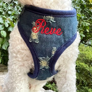 Personalized Denim Dog Harness and Leash Set for Boys, Embroidered Dog Harness Girl, Dog Harness Boy, Custom Dog Harness, Harness Leash Set