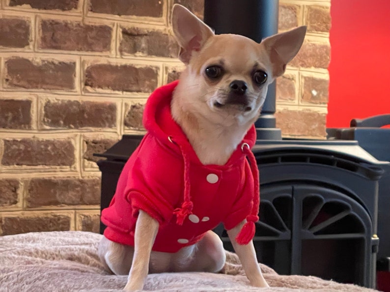 Personalized Dog Hoodie Jacket for Small Dogs, Custom Dog Hoodie With