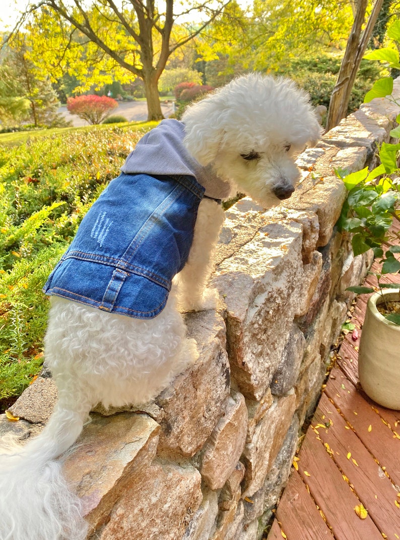 Custom DENIM DOG Jacket Embroidered Dog HOODIE With Name Etsy