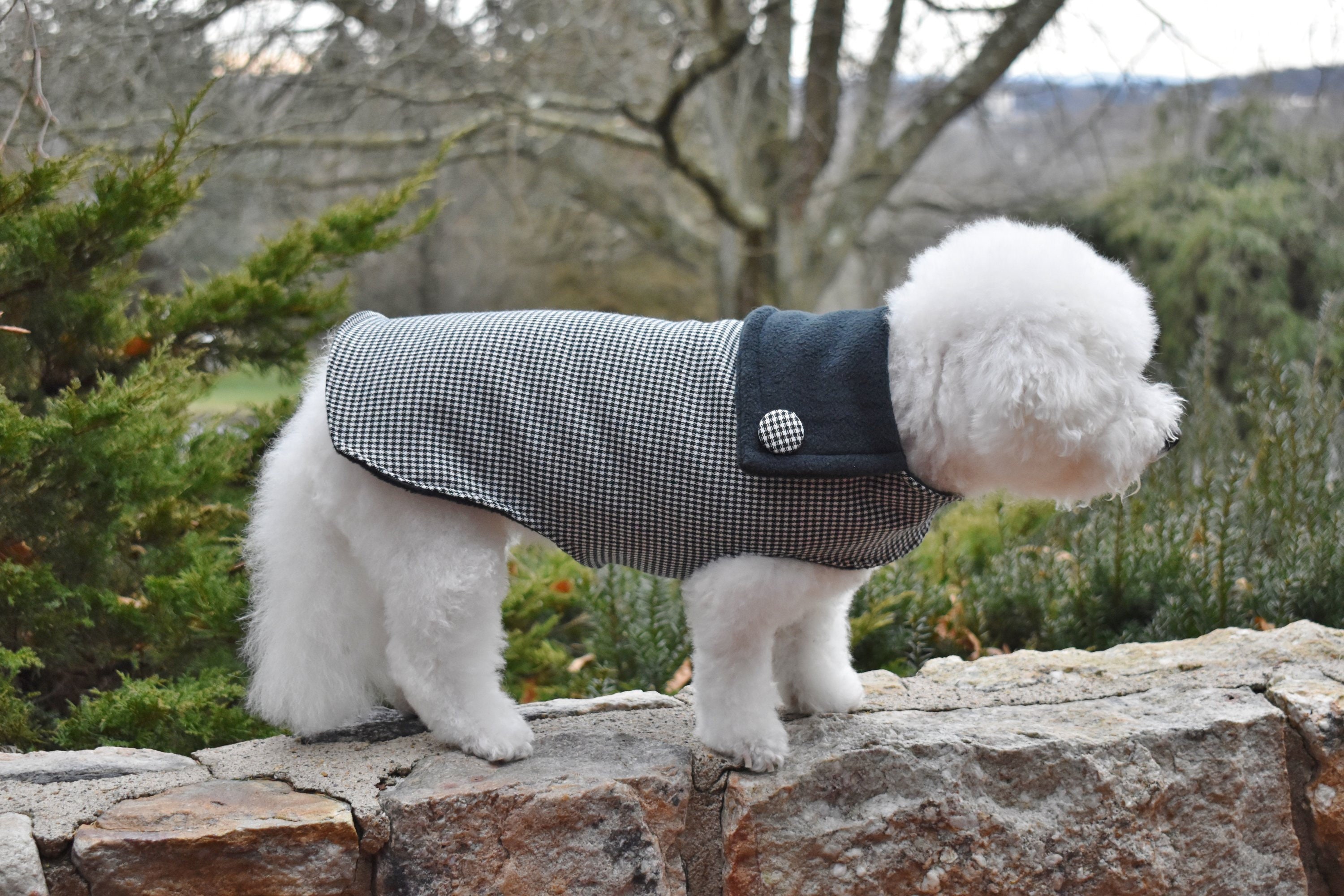 designer inspired dog clothes
