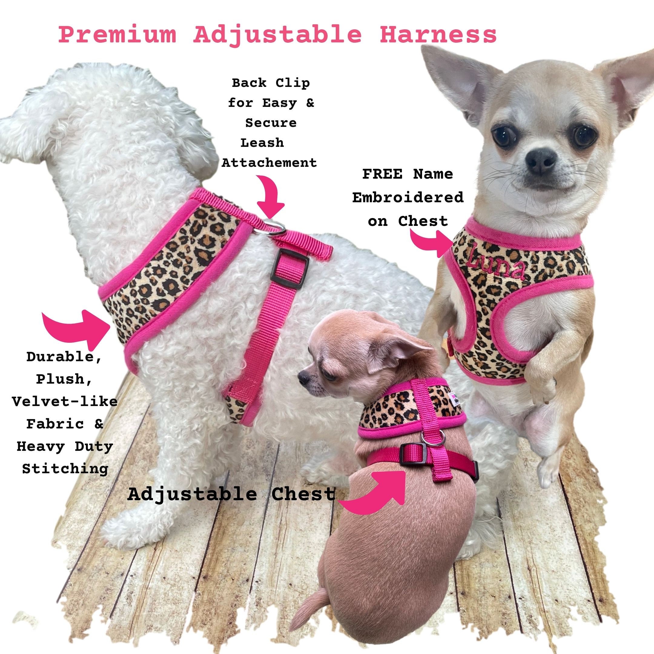  Luxury Dog Collar Leash Set Harness Designer Small and  Medium-Sized Dog Pet Collar Pug Chihuahua Adjustable Dog Collar Set Strong  Protection Safe pet Leash (Color : Harness, Size : XXL) 
