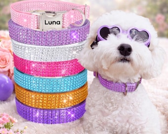 May include: A stack of six rhinestone-encrusted dog collars in pink, purple, white, hot pink, blue, and orange, with a silver buckle engraved with the name Luna. A white dog wears a matching purple rhinestone collar and heart-shaped sunglasses.