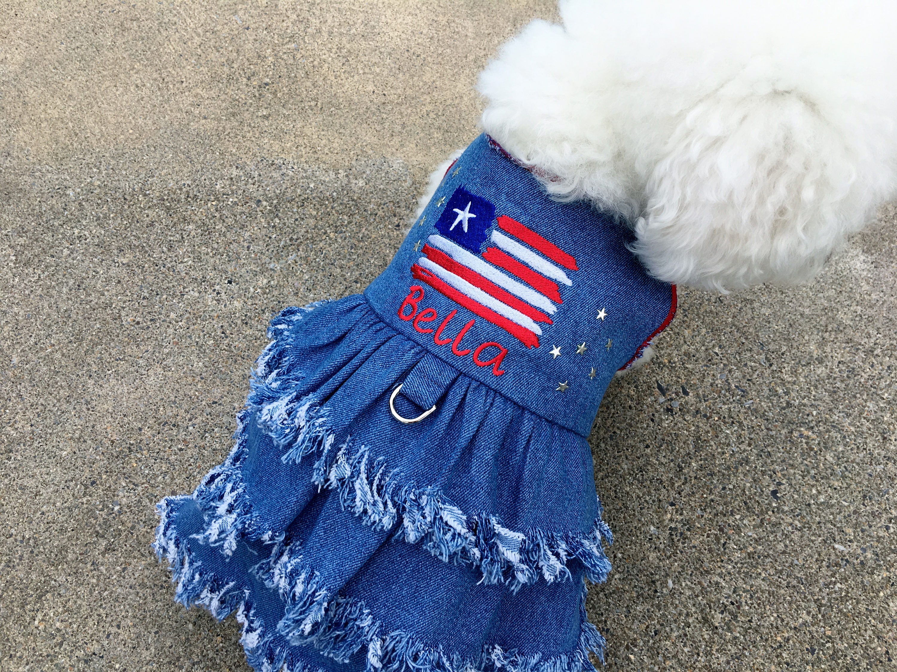 Denim Blue Pet Dog Dress - Personalized Holiday Dog Dress - Patriotic Dog  Dress With Flag and Fringes - Female Dog Clothes for Small Dogs - Etsy