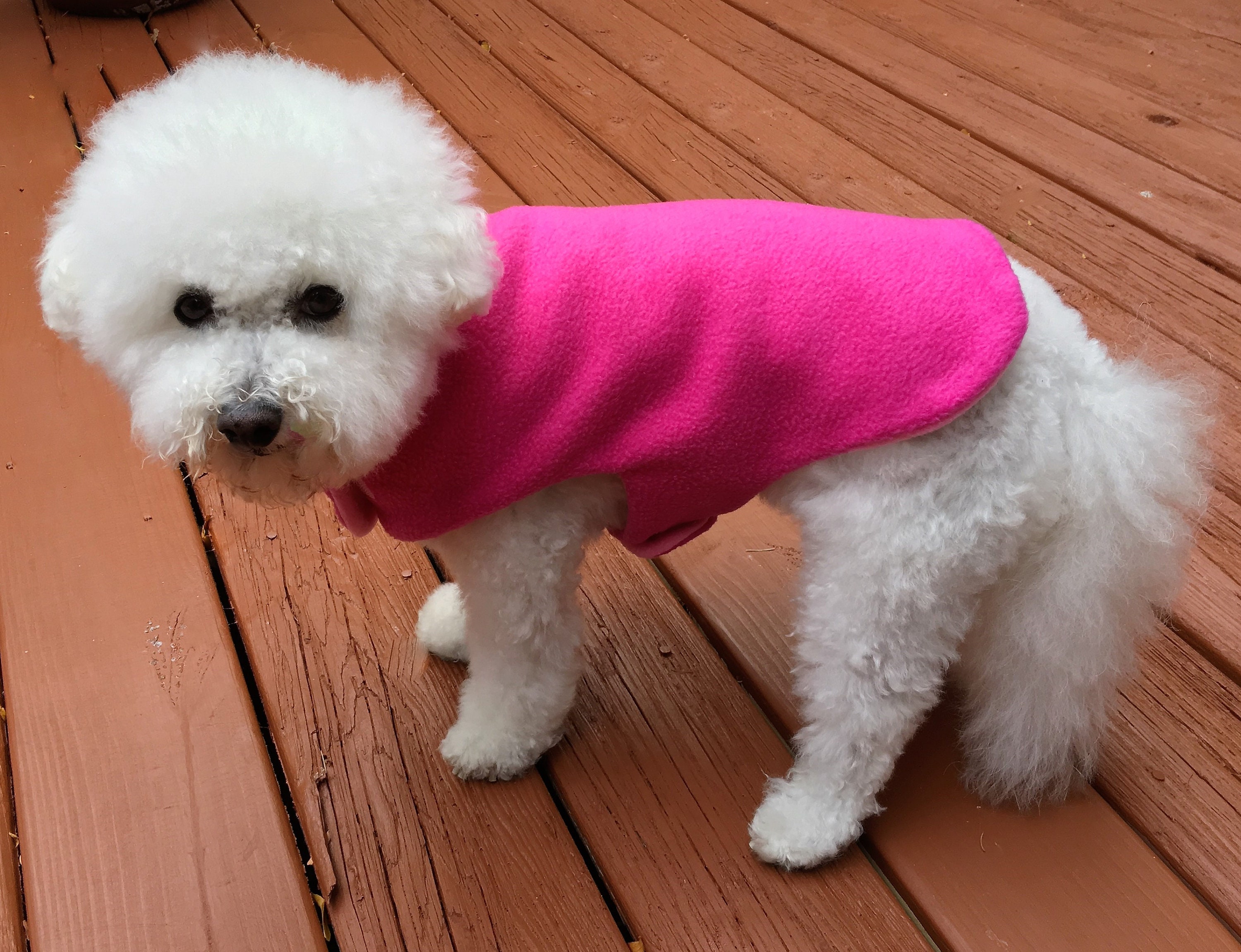large dog fleece jacket