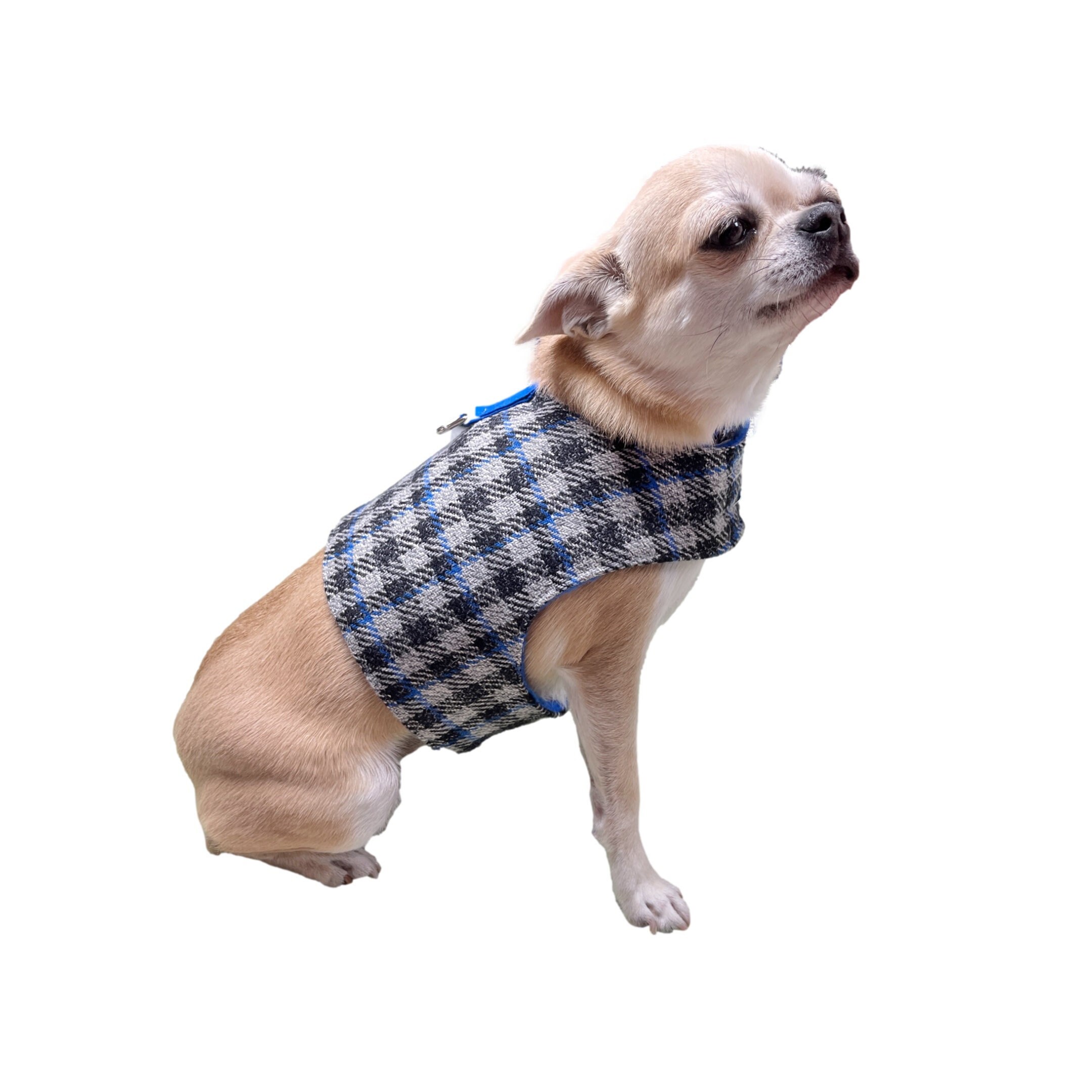 Chihuahua Shadow Shirt - Grey TL Chihuahua Shadow Shirt - Grey TL