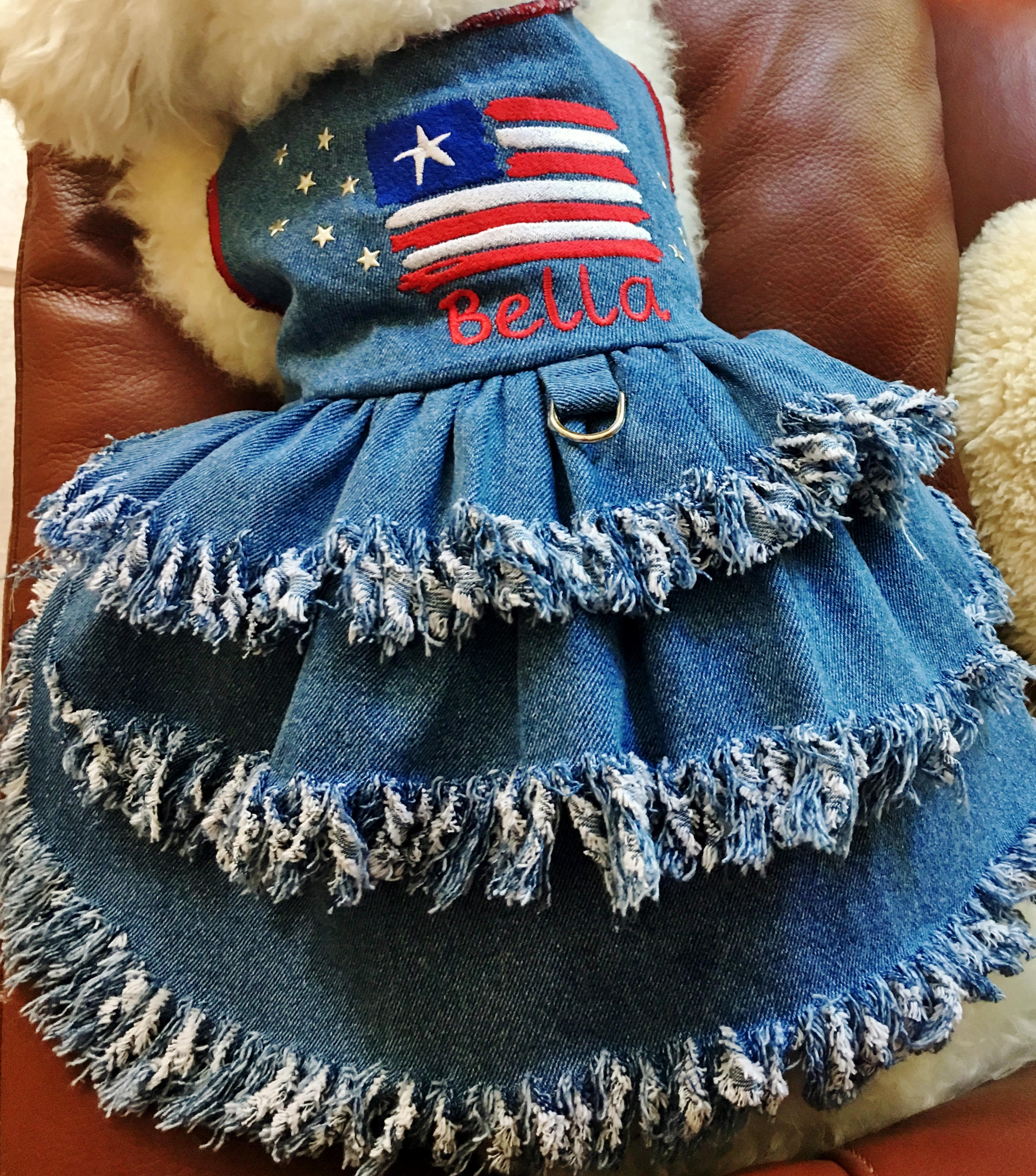 white christmas dresses Denim Lemon Dog Dress