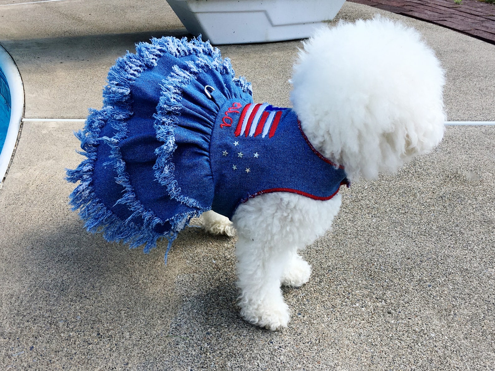 Denim Blue Pet Dog Dress Personalized Holiday Dog Dress Patriotic denim-blue-pet-dog-dress-personalized-holiday-dog-dress-patriotic