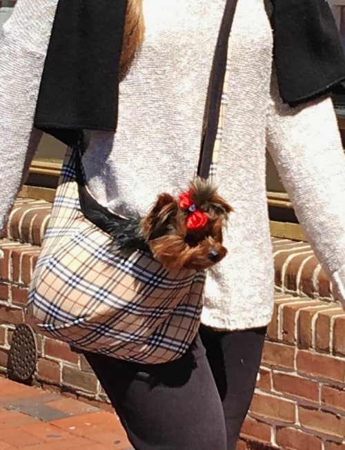 Berry Style DOG SLING Pet CARRIER