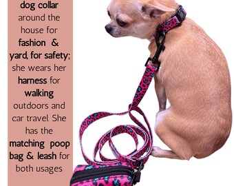 Hübsches Hundehalsband Mit Leopardenmuster – Robust, Verstellbar & Waschbar
