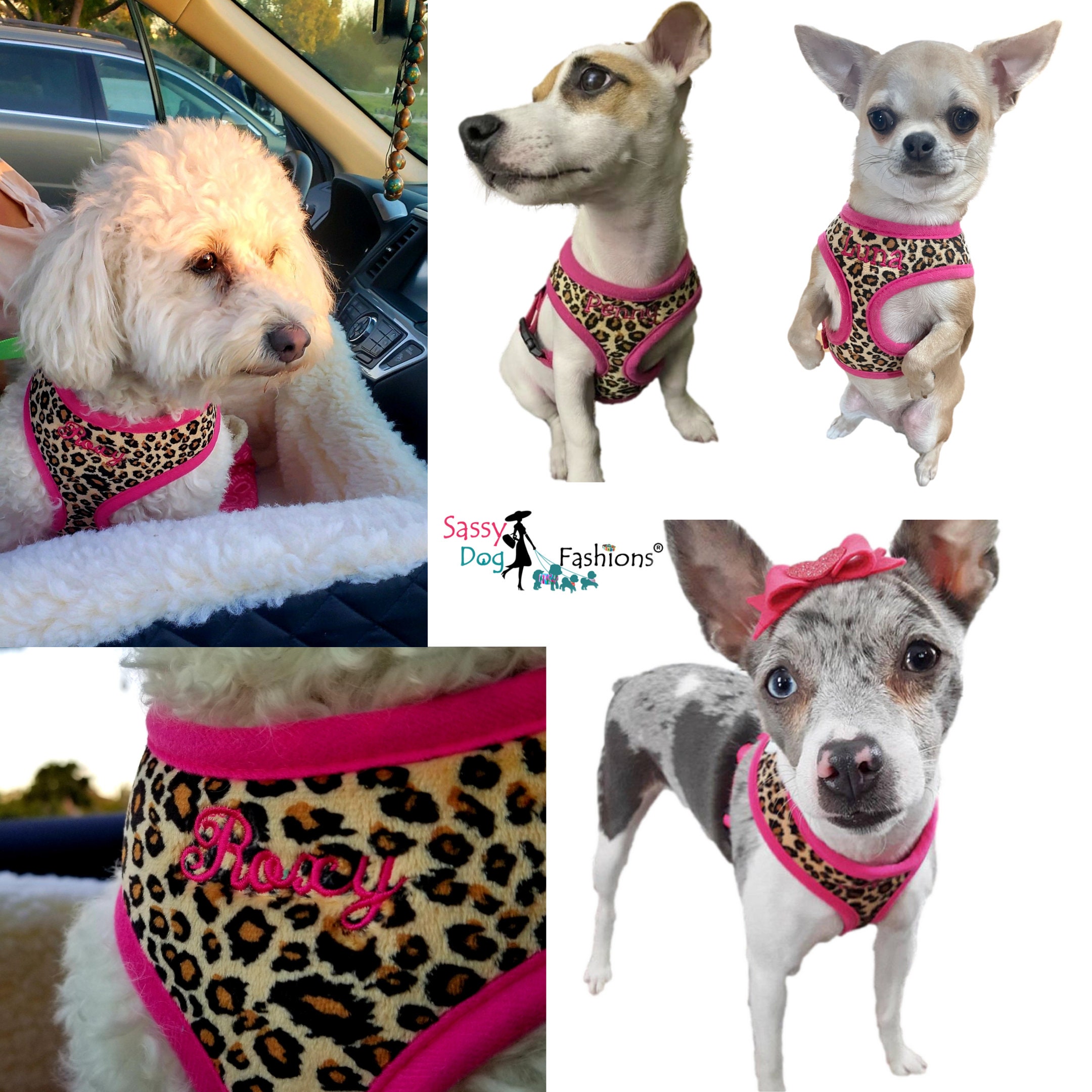 Fashion Versa Luxury Dog Leash Dog Harness–Luxury Dog Collar And