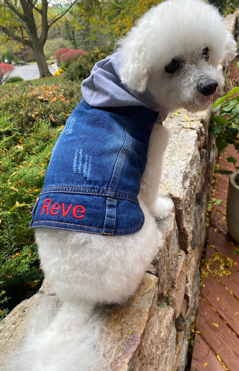 Custom DENIM DOG Jacket Embroidered Dog HOODIE With Name Etsy