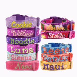 Personalized Dog Collar-Leash, Custom Embroidered Dog Collar, Girl Dog Collar, Dog Collar with Name, Handmade Dog Collar, Large Dog Collar