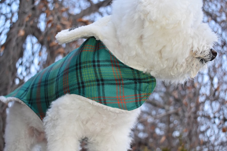 Handmade Irish Wool Dog COAT Green Plaid Dog Coat Warm Dog Etsy