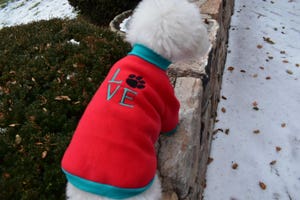 Dog Jacket