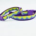 see more listings in the Custom Collars & Leads  section