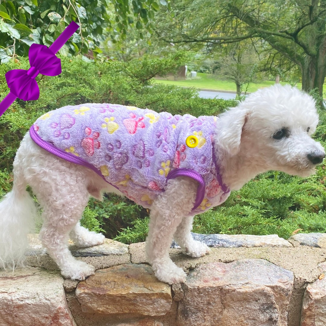 Fleece Dog Sweater Girl, Small Dog Sweater, Custom Dog Sweater, Fancy Trim Option, Winter Dog