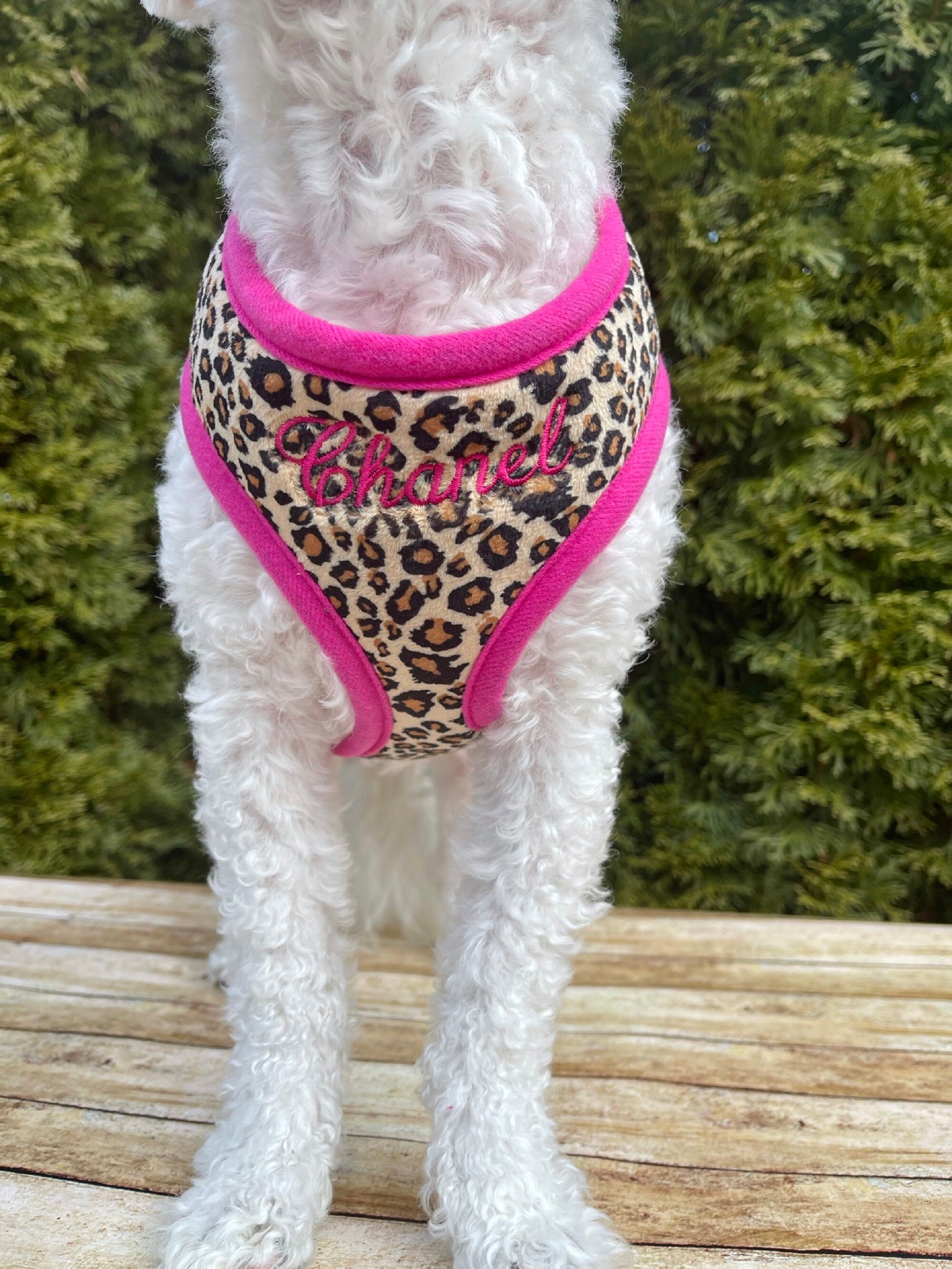 Custom Pink Leopard Cute DOG Harness Girl FREE Name XXS Etsy