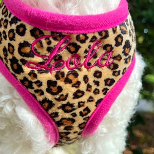 Custom Embroidered DOG Harness Girl, Pink Luxury Dog Harness Leash Set, Harness Dog Personalized, Adjustable Puppy Harness and Leash Set