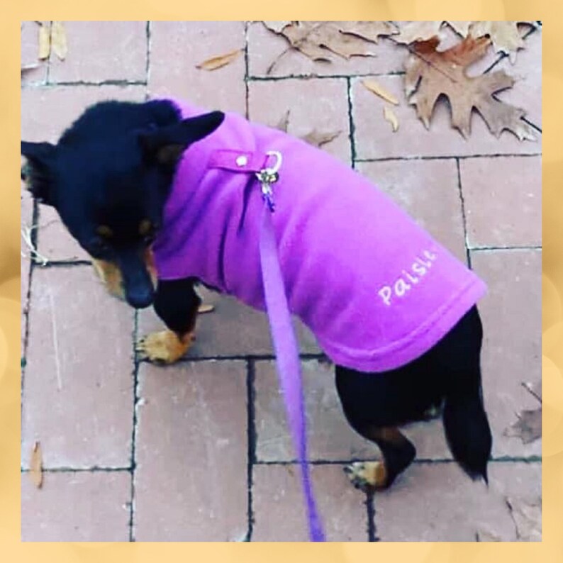 Personalized Dog Sweater Dog Stretch Fleece Vest Dog Sweater Etsy