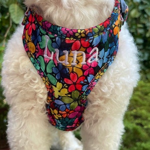 Personalized Floral Dog Harness and Leash Set, Fully Adjustable Dog Harness Collar Set, Dog Harness Personalized, Girl Dog Harness Bundle