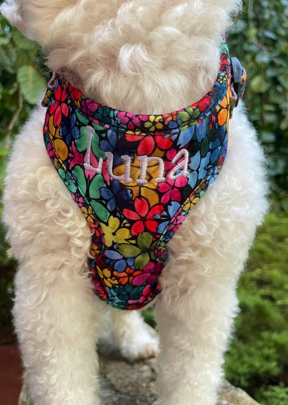 Dog top harness girl