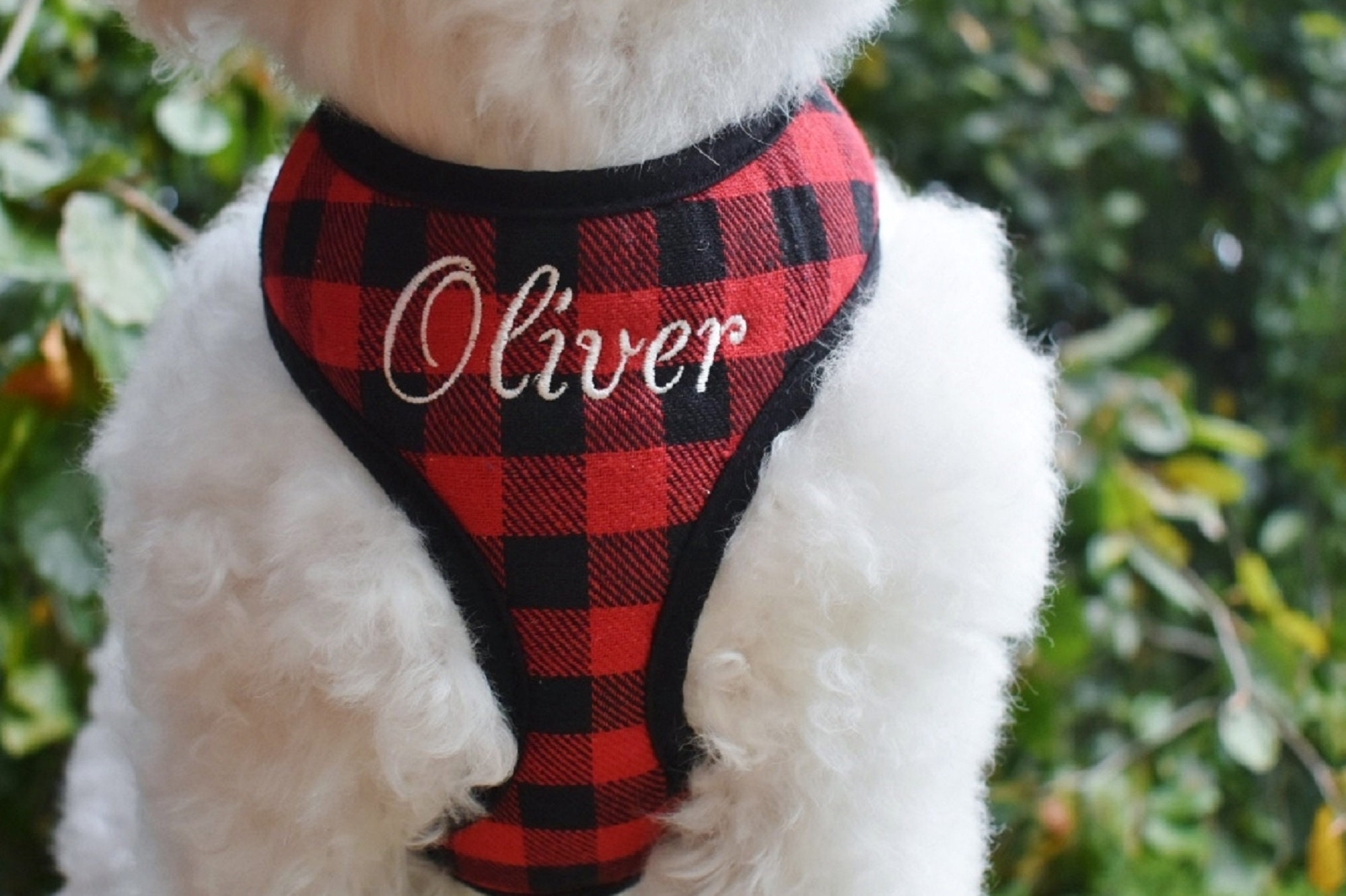 BUFFALO PLAID Adjustable Tartan Fall Harness Red Dog Harness Pet