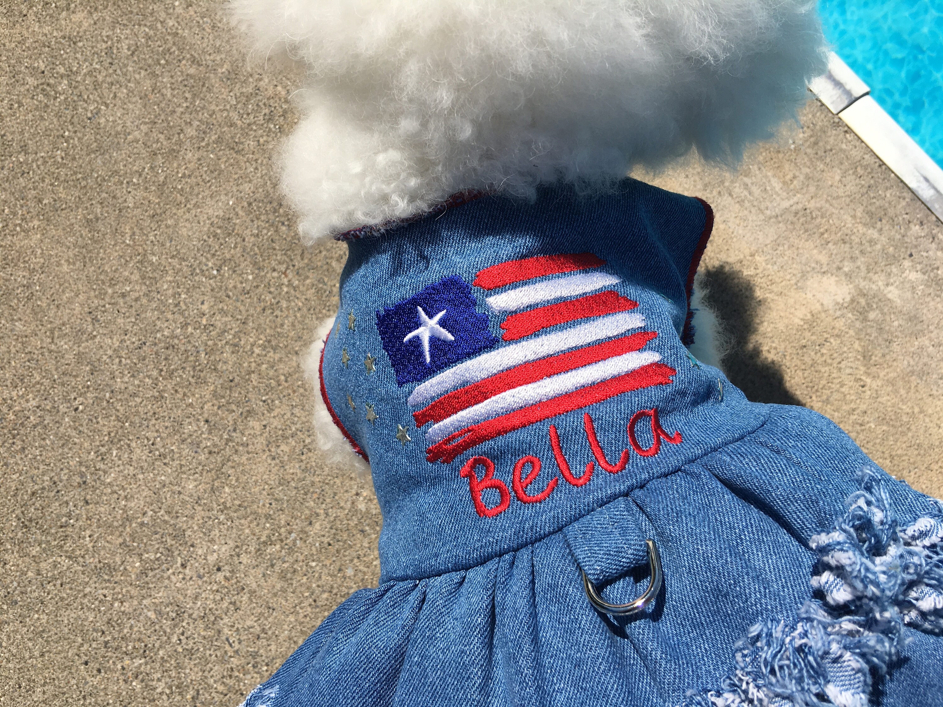 Denim Blue Pet Dog Dress - Personalized Holiday Dog Dress - Patriotic Dog  Dress With Flag and Fringes - Female Dog Clothes for Small Dogs - Etsy