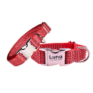 Engraved Ruby Red Rhinestone Dog Collar – Personalized Bling Dog Collar - Sparkly Holiday Dog Collar, XXS to XXL, Custom Dog Collar Name 51