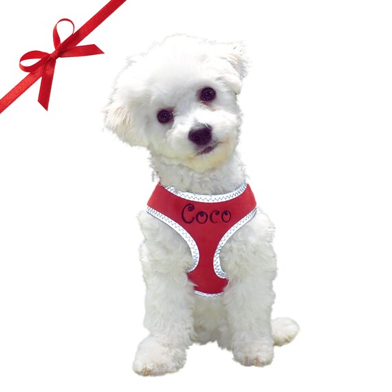 Only uniqueness dog harness hot sale