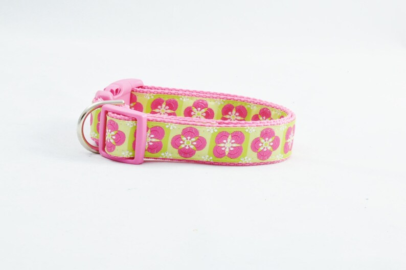 Design your Own Custom DOG COLLAR in Pink Lime or Blue Trim on Etsy