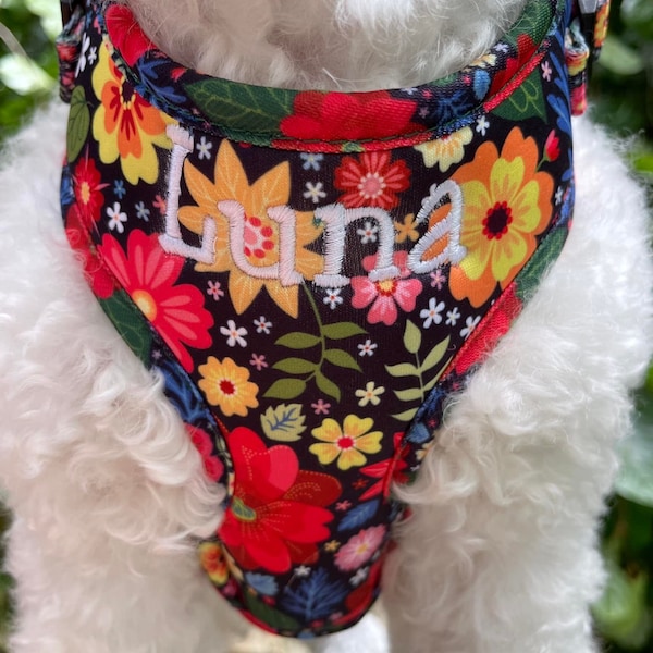 Personalized Floral Girl Dog Harness and Leash Set, Fully Adjustable Dog Harness Bundle, Personalized Dog Harness Girl, Harness Collar Set