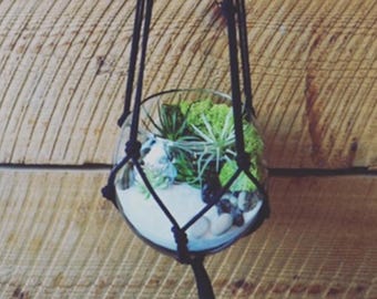 Macrame Hanging Terrarium DIY Craft Kit