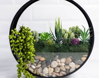 Wall Terrarium Kit