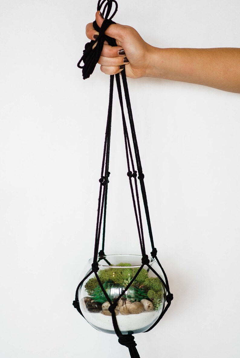Hanging Terrarium Kit Etsy