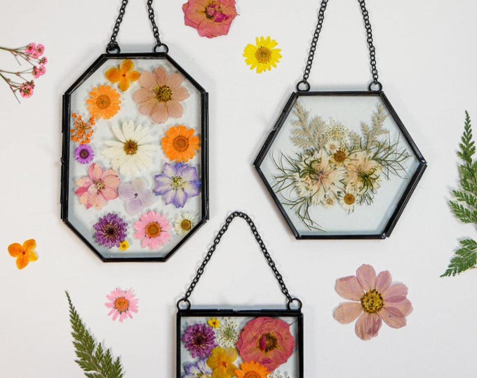 Framed Pressed Flowers Kit