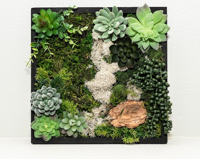Moss Wall Kit
