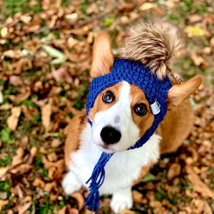 Corgi Beanie - Dog Beanie - Corgi Hats - Dog Hat - Dog Beanie - Fur Baby Beanies - Hats for Dogs - Hats - Corgis - Pet Hats - Dog Winter Hat