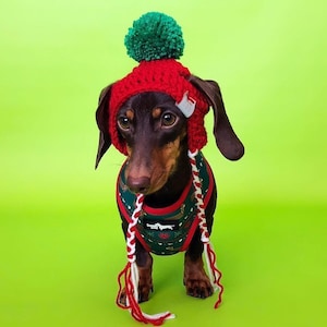 Dog Beanie - Dog Hat - Christmas Dog Hat - Pet Christmas - Dog Beanie - Kitty Beanies - Pupper Beanies - Pet Beanies - Hats - Pet Hats