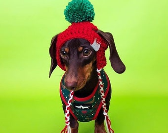 Dog Beanie - Dog Hat - Christmas Dog Hat - Pet Christmas - Dog Beanie - Kitty Beanies - Pupper Beanies - Pet Beanies - Hats - Pet Hats