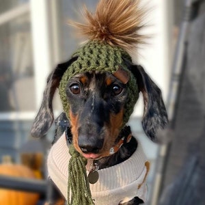 Wooly hats for dogs hot sale