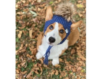 dog with beanie
