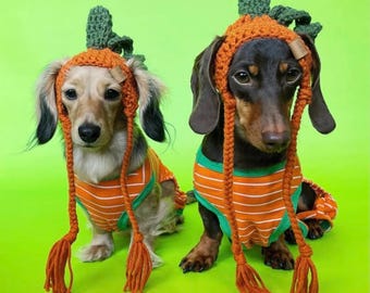 Kürbis Mütze für Hunde - Hundemütze - Hundemütze - Katzenmütze - Halloween Mütze - Halloween Hundemütze - Pet Fashion