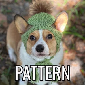 Crochet Dog Beanie Pattern - Dog Beanie Pattern - Pet Beanie Pattern - Beanie Pattern - Crochet Dog Beanies - Corgi Beanies - Dog Hats