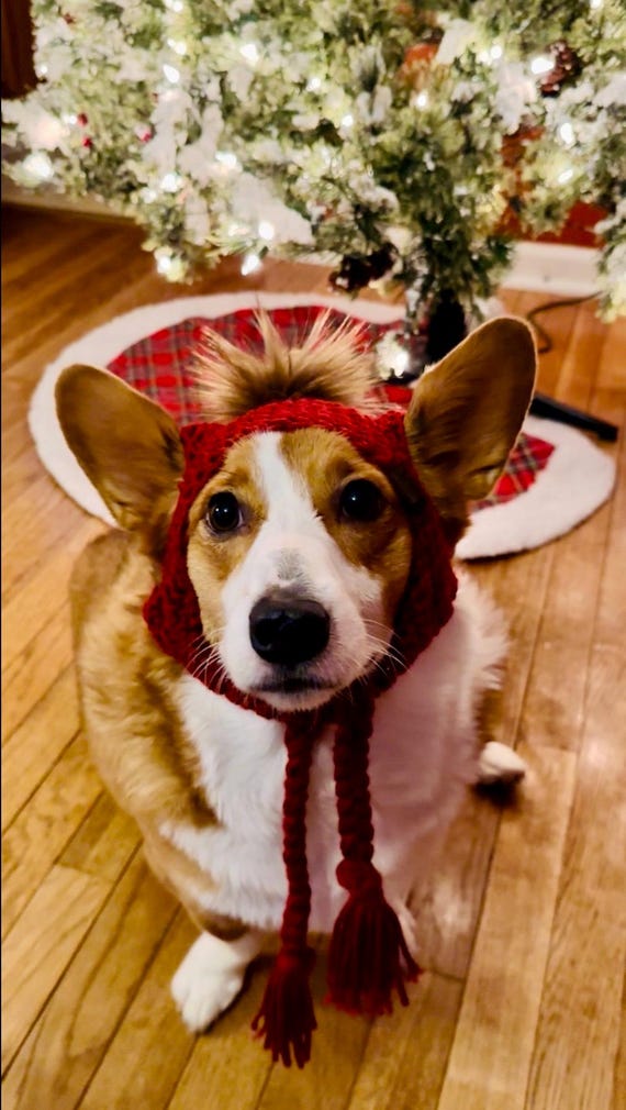 corgi-corgi 海賊帽 帽子屋corgi-corgi 通販ページ